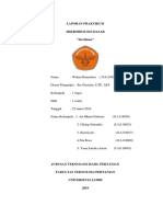 LAPORAN - PRAKTIKUM - Mikro - Media Pertumbuhan