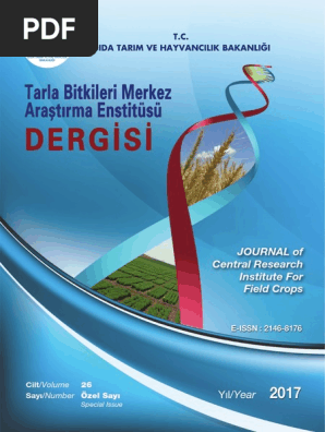 scribd
