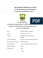 Influencia tamaño fruto estratos cosecha viabilidad vigor semillas bolaina negra