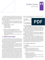 17.pdf