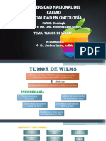 Tumor de Wilms