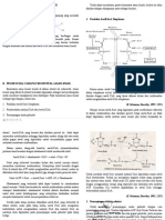 Biosintesis Asam Lemak PDF