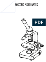 FOTOCOPIA MICROSCOPIO.pdf