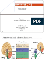 Anatomy of CNS: Rhesa Abdurrafi 12100118010