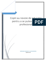 Copiii Au Nevoie de Educație Pentru A Se Putea Realiza Profesional