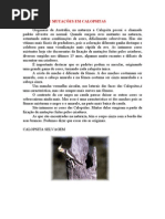 CATÁLOGO DE MUTAÇÕES EM CALOPSITAS
