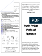 Purification PDF