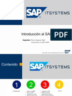 Introducción Al SAP PDF