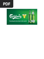 Carlsberg Analysis