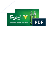 Carlsberg Analysis