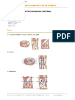 Ab9. Protocolo Reno-Ureteral