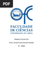 40892 - Relatório Final de IOU