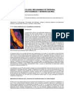 204 370 1 SM PDF