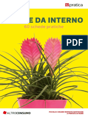 Piante Da Interno PDF