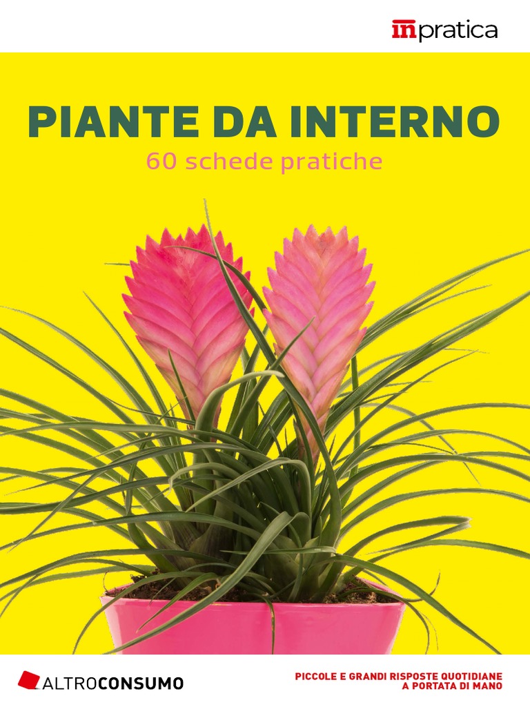 Piante Da Internopdf