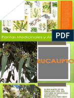 Ppt Las Plantas