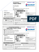 Modelo de Guia de Pago Sunat