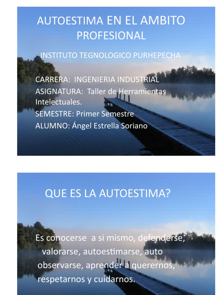 Autoestima en el Ámbito Profesional | PDF | Autoestima | Cognición