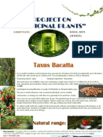 Project On "Medicinal Plants": Submitted by