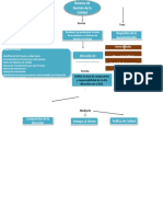 Mapa Conceptual