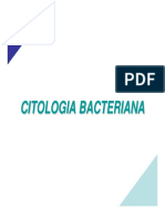 026 - Citologia Bacteriana