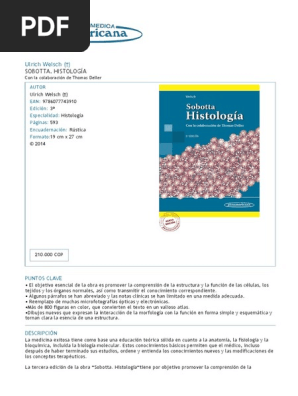 Descargar