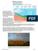 The Water Cycle: Transpiration. Surface Water Loss Due