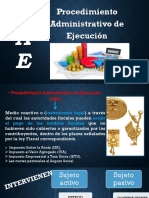 Procedimiento Administrativo de Ejecución