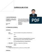 Curriculum Vitae Solo CV