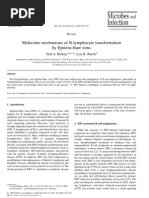 Download Molecular Mechanisms of B-Lymphocyte Transformation by kiedd_04 SN4269586 doc pdf