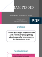 Demam Tifoid