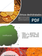 Cítricos Deshidratados Presentacion Diagrama