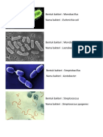 Bentuk Bakteri