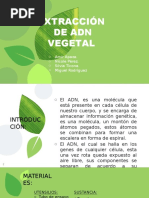 Adn Vegetal