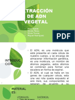 ADN VEGETAL