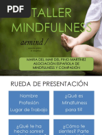 Taller de Mindfules PDF