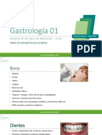 Guía gastrología 01 estudiantes