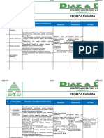 Profesiograma Dyd 2019