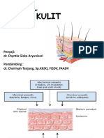 Skin Barrier