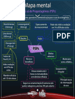 Mapasplulassdeprogestagenios 1527710162814 PDF