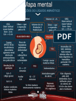 9MapamentalLqAmnitico 1531152943659 PDF