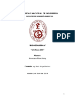 Informe de Microalgas