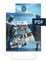 Prospecto 2013 Unprg FINAL PDF