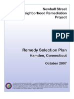 Remedy Selection Plan