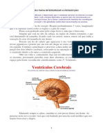 Meditação para Interiorizar A Percepção PDF