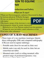 Equine Radiography 2019