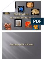 Sectiuni Neuroanatomie PDF