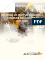 38687924-Strategia-de-Inovare-Regionala-a-Regiunii-Sud-Muntenia-2008-2013.pdf
