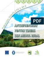 Antreprenoriat PT Tinerii Din Mediul Rural PDF