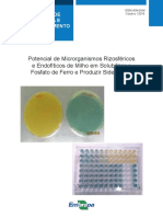 Potencial de Microrganismos Rizosféricos.pdf